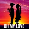 About Oh My Love Song