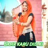 About Sahr karu dili ki Song