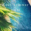 About Grooves in the Summer Song