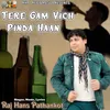 About Tere Gam Vich Pinda Haan Song