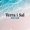 About Terra i sal Song