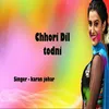 About Chhori Dil todni Song