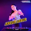 About Ancur Lebur Song