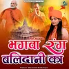 About Bhagwa Rang Balidaani Ka Song