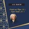 Organ Sonata No. 4 in E Minor, BWV 528: I. Adagio