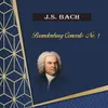 Brandenburg Concerto No. 1 in F Major, BWV 1046: III. Allegro