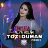 Toz Duman Remix