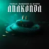 About ANAKONDA Song