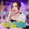 About Ping Pindho Koplo Version Song