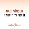 About Takvim Yaprağı Song