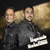 About مهرجان خدعونا كلعاده Song