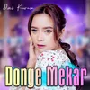 About Donge Mekar Koplo Version Song