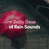 About Leader Rain Song