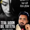 About Tera Jadon Dil Tutteya Song