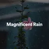 Acid Precipitation Rain