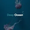Deep Ocean, Pt. 13