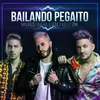 About Bailando Pegaito Song