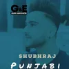 About Punjabi Song
