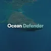 Ocean Defender, Pt. 2