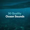 About Heroize Ocean Song