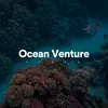 Attractive Ocean