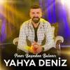 About Pınar Başından Bulanır Song