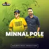 Minnal Pole