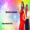 About Kacha Badam Song