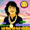 About mari jindagi kari nokhi ramar bhamar Song