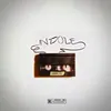 About Indole Song
