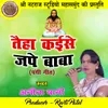 About Taiha Kaise Jape Baba Panthi Geet Song