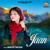 Jaan Che Maney Jaan