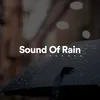 About Sound of Rain, Pt. 25 Song