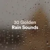 Gutsy Rain