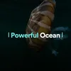 Ocean Revelational