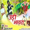 About Udhi Bhawara Nagpuri Song