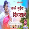 About Kale Gudiya Khisaley Song