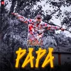About Pagla Papa Song