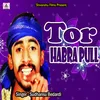 About Tor Habra Pull Song