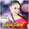 Buaya Darat