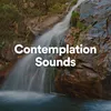 Contemplation Sounds, Pt. 1