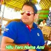 About Nilu Tero Nama Amr Song