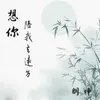 About 想你陪我去远方 Song