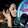 About Kal Yanımda Song