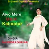 About Aiyo Mere Udan Kabootar Song