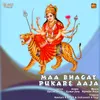 About Maa bhagat Pukare Aaja Song