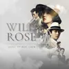 Conflict of Wild Rose