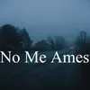 About No Me Ames Song