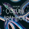 About Çözüm Aramıyom Song