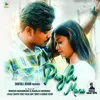 About PAGAL MONE Song